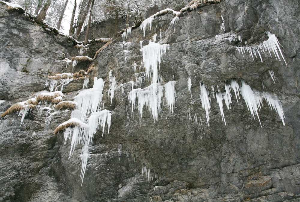 Appartement Kleinwalsertal Natuur 5 1000x675px