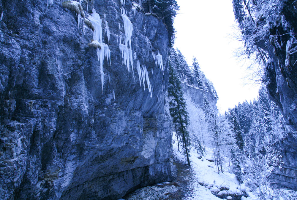 Appartement Kleinwalsertal Natuur 7 1000x675px